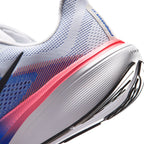 Nike Pegasus 42 - Men's